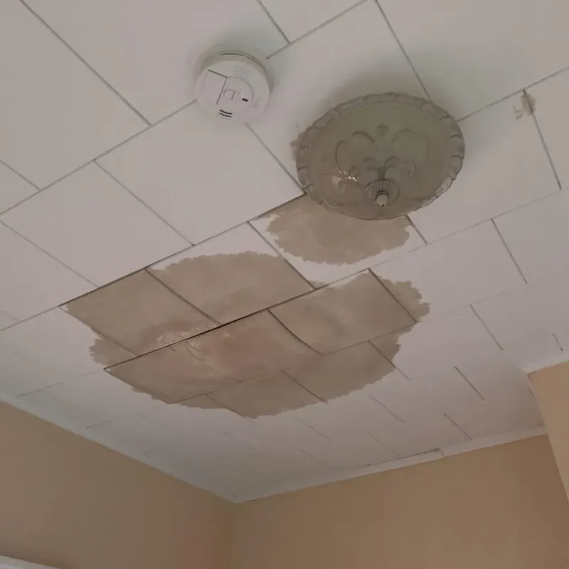 Ceiling Water Damage Repair in Salamanca, NY