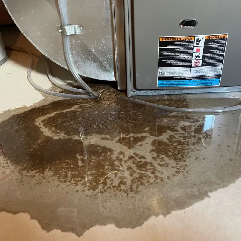 Pipe Burst and Leak Restoration in Salamanca, NY