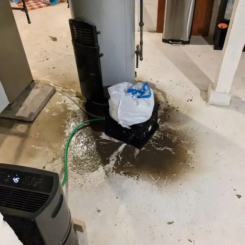 Sewage Backup Cleanup Service in Salamanca, NY